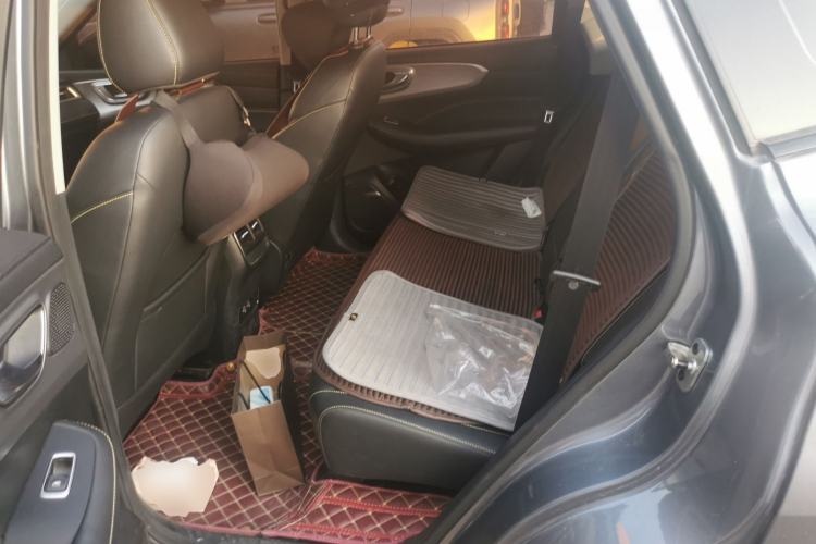 Used Roewe RX5 2020 PLUS 300TGI Automatic Ali National Style Ronglin Edition Left Rear Seat