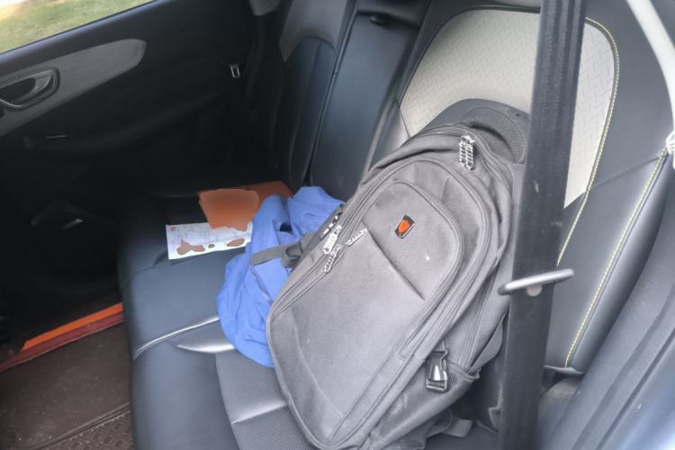 Used Roewe RX5 2020 PLUS 300TGI Automatic Ali National Style Ronglin Edition Left Rear Seat