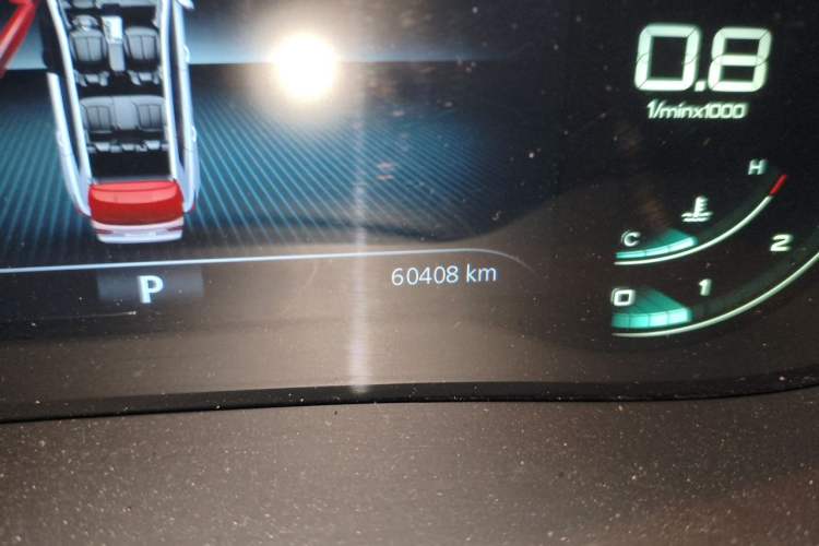 Used Roewe RX5 2020 PLUS 300TGI Automatic Ali National Style Ronglin Edition Odometer Close Up