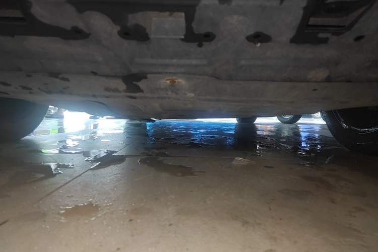 Used Roewe RX5 2020 20T Automatic 4G Connected Million Edition Chassis Front