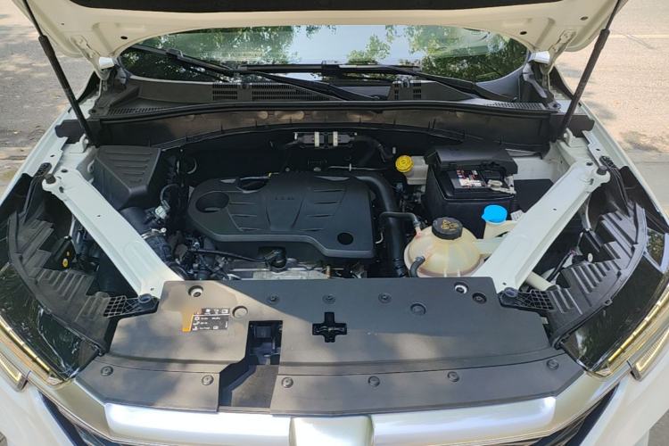 Used Roewe RX5 2020 PLUS 300TGI Automatic Ali National Trend Flagship Edition Engine Bay