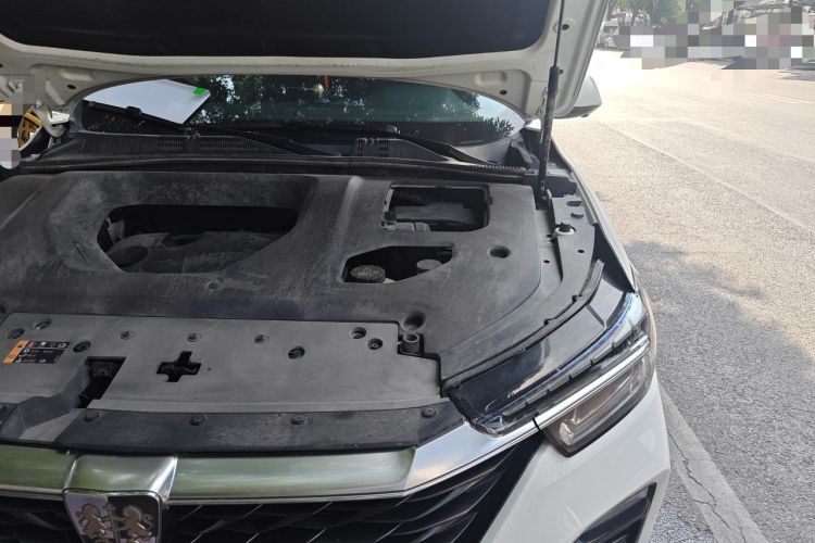 Used Roewe RX5 2020 PLUS 300TGI Automatic Ali National Trend Flagship Edition Engine Bay Left