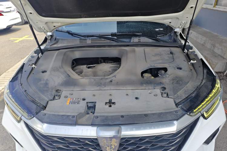 Used Roewe RX5 2020 PLUS 300TGI Automatic Ali National Trend Flagship Edition Engine Bay