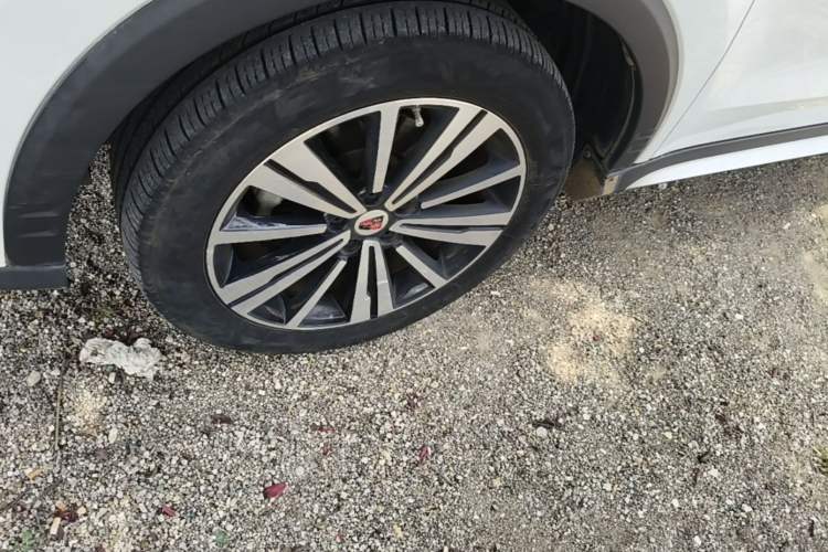 Used Roewe RX5 2020 20T Automatic 4G Connected Million Edition Exterior 4