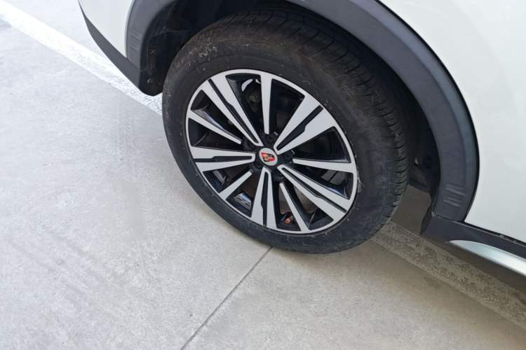 Used Roewe RX5 2020 20T Automatic 4G Connected Million Edition Exterior 5