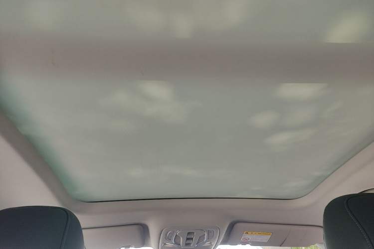 Used Roewe RX5 2020 PLUS 300TGI Automatic Ali National Trend Flagship Edition Headliner