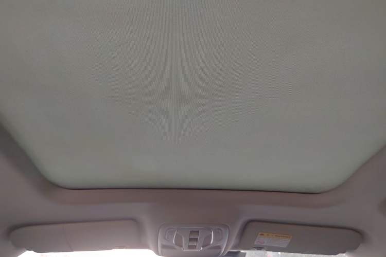 Used Roewe RX5 2020 PLUS 300TGI Automatic Ali National Trend Flagship Edition Headliner