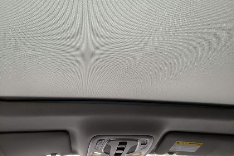 Used Roewe RX5 2020 PLUS 300TGI Automatic Ali New Year Special Edition Headliner