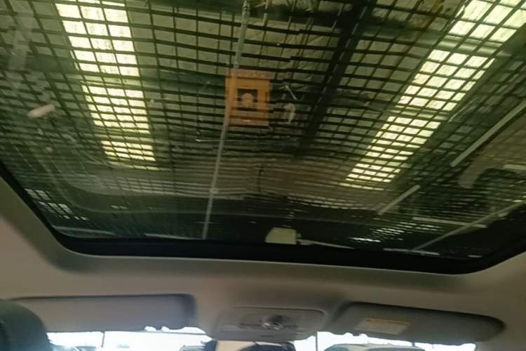 Used Roewe RX5 2020 20T Automatic 4G Connected Million Edition Headliner