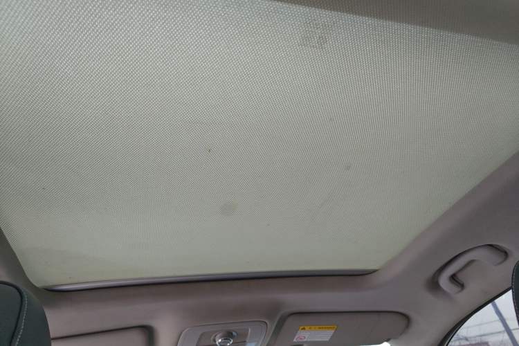 Used Roewe RX5 2020 20T Automatic 4G Connected Million Edition Headliner