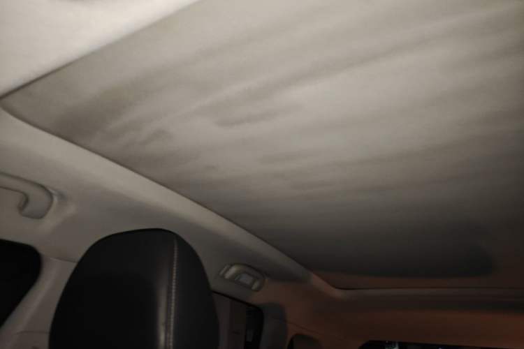 Used Roewe RX5 2020 20T Automatic 4G Connect Superior Flagship Edition Headliner
