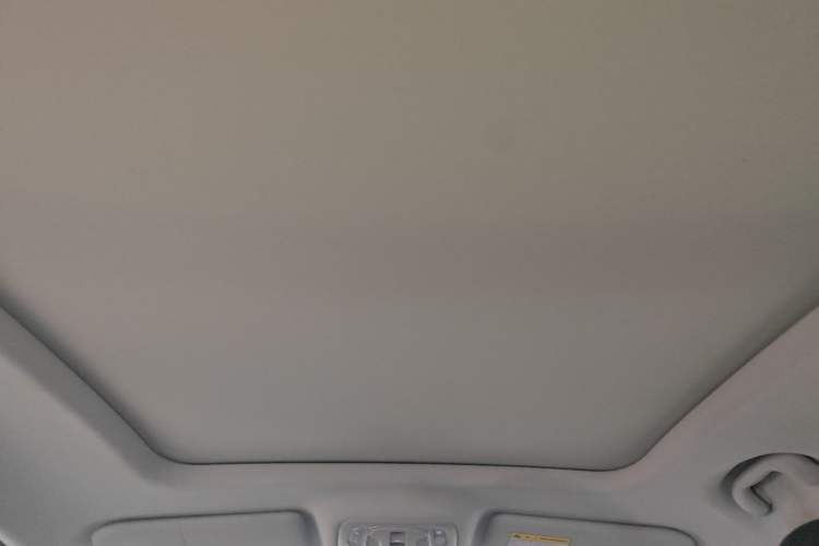 Used Roewe RX5 2020 PLUS 300TGI Automatic Ali National Style Luxury Edition Headliner