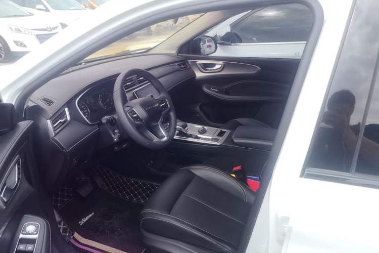 Used Roewe RX5 2020 PLUS 300TGI Automatic Ali National Style Luxury Edition Left Front Seat