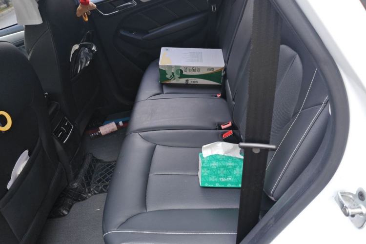 Used Roewe RX5 2020 20T Automatic 4G Connect Superior Flagship Edition Left Rear Seat