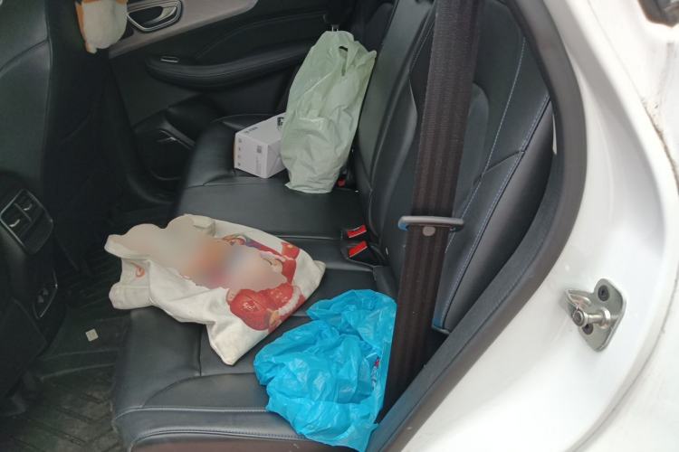 Used Roewe RX5 2020 PLUS 300TGI Automatic Ali National Trend Flagship Edition Left Rear Seat