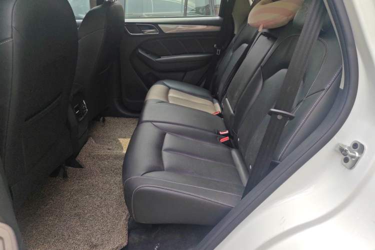 Used Roewe RX5 2020 20T Automatic Ali Smart Network Beyond Flagship Edition Left Rear Seat