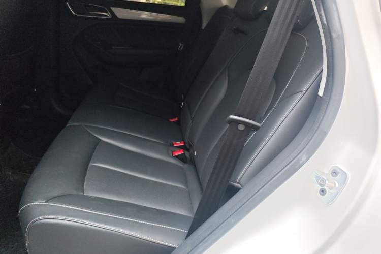 Used Roewe RX5 2020 20T Automatic 4G Connect Superior Flagship Edition Left Rear Seat