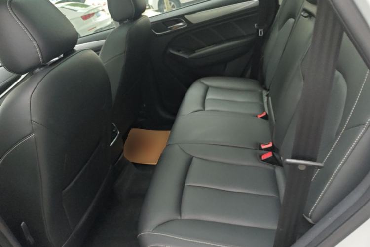 Used Roewe RX5 2020 20T Automatic 4G Connect Superior Flagship Edition Left Rear Seat