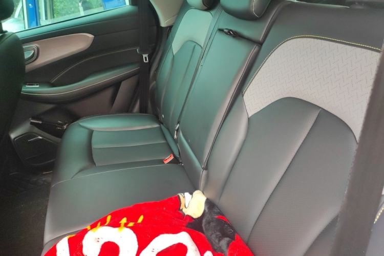 Used Roewe RX5 2020 PLUS 300TGI Automatic Ali National Style Ronglin Edition Left Rear Seat