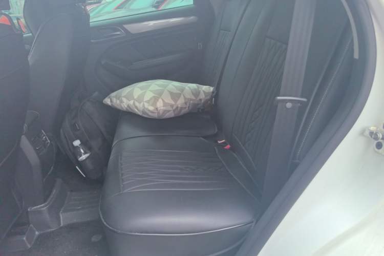 Used Roewe RX5 2020 20T Automatic 4G Connected Million Edition Left Rear Seat
