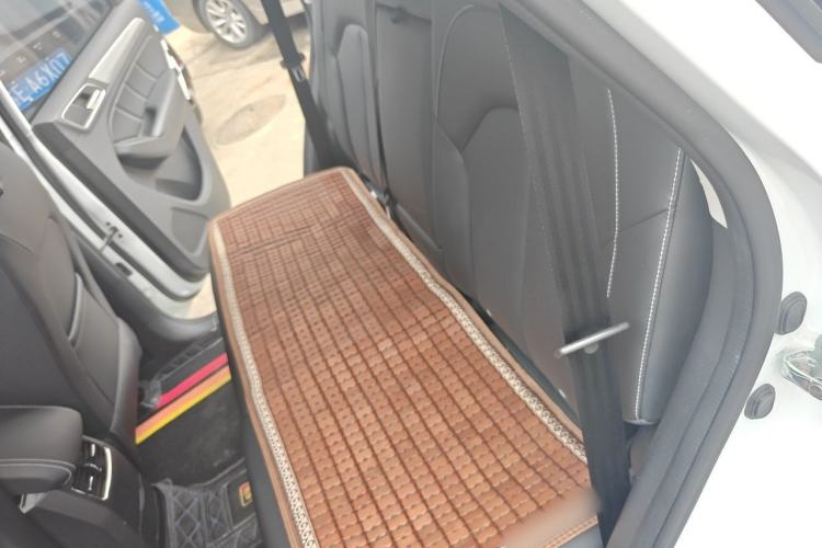 Used Roewe RX5 2020 20T Automatic 4G Connect Superior Flagship Edition Left Rear Seat
