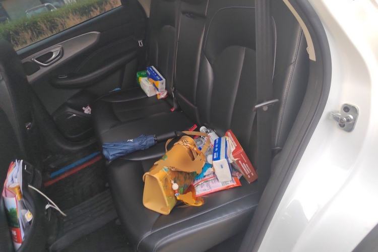 Used Roewe RX5 2020 PLUS 300TGI Automatic Ali National Trend Flagship Edition Left Rear Seat