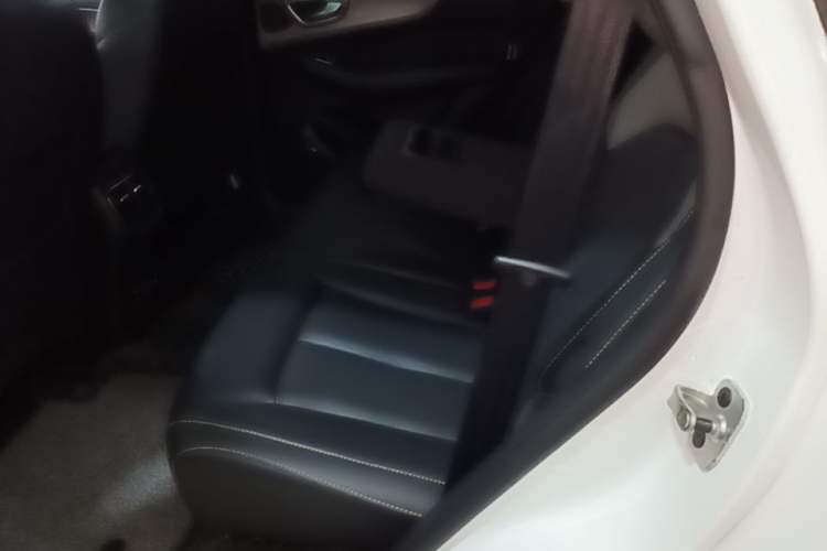 Used Roewe RX5 2020 PLUS 300TGI Automatic Ali New Year Special Edition Left Rear Seat
