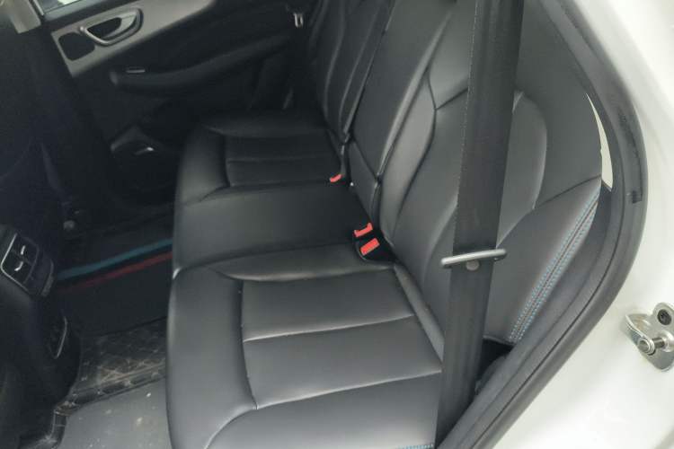 Used Roewe RX5 2020 PLUS 300TGI Automatic Ali New Year Special Edition Left Rear Seat