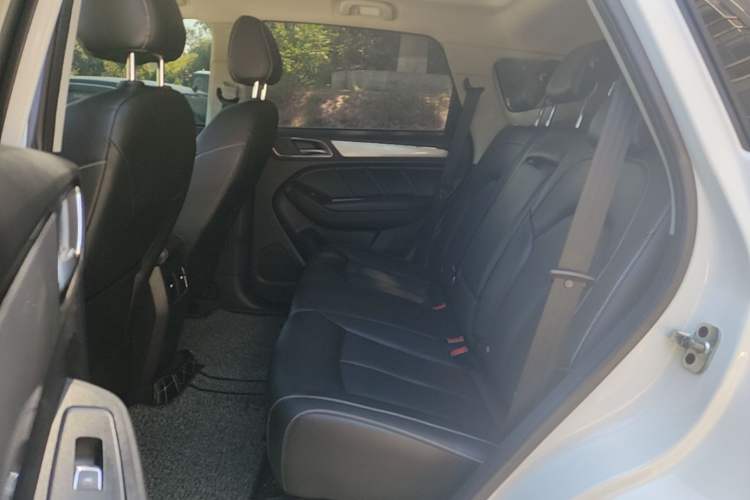 Used Roewe RX5 2020 20T Automatic 4G Connect Superior Flagship Edition Left Rear Seat