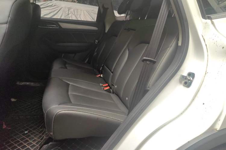 Used Roewe RX5 2020 20T Manual 4G Connect Super-Luxury Flagship Edition Left Rear Seat