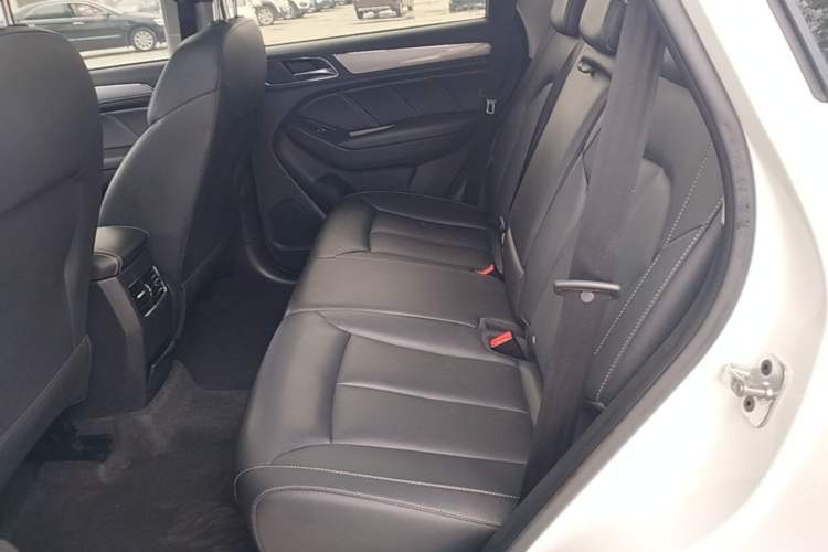 Used Roewe RX5 2020 20T Manual 4G Connect Super-Luxury Flagship Edition Left Rear Seat