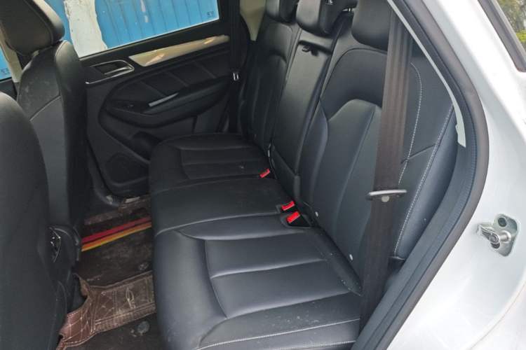 Used Roewe RX5 2020 20T Manual 4G Connect Super-Luxury Flagship Edition Left Rear Seat