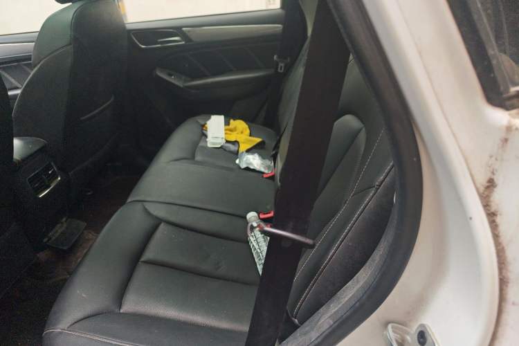 Used Roewe RX5 2020 20T Automatic 4G Connect Superior Flagship Edition Left Rear Seat