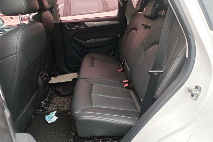 Used Roewe RX5 2020 20T Automatic 4G Connected Million Edition Left Rear Seat