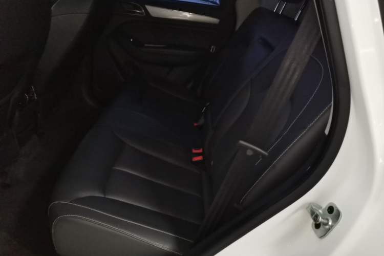 Used Roewe RX5 2020 20T Automatic 4G Connect Superior Flagship Edition Left Rear Seat