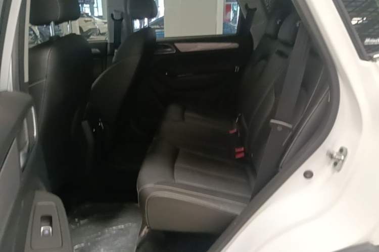 Used Roewe RX5 2020 20T Automatic 4G Connected Million Edition Left Rear Seat