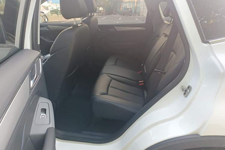 Used Roewe RX5 2020 20T Automatic 4G Connected Million Edition Left Rear Seat