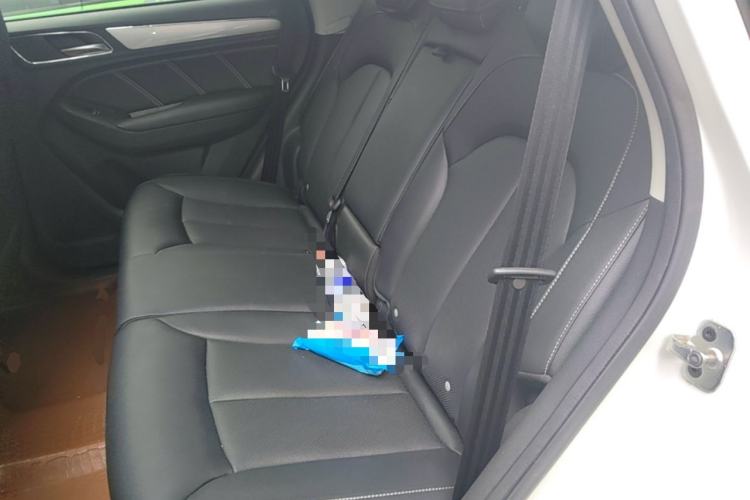 Used Roewe RX5 2020 20T Manual 4G Connect Super-Luxury Flagship Edition Left Rear Seat