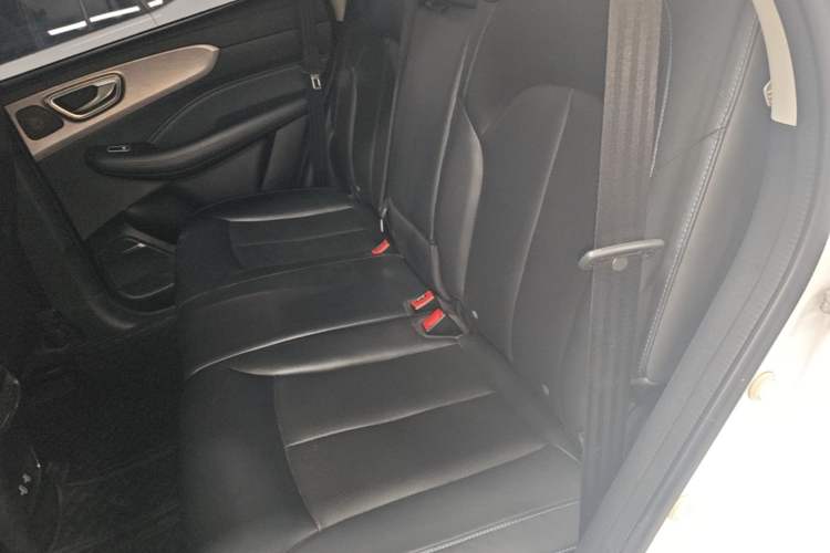 Used Roewe RX5 2020 PLUS 300TGI Automatic Ali National Style Luxury Edition Left Rear Seat