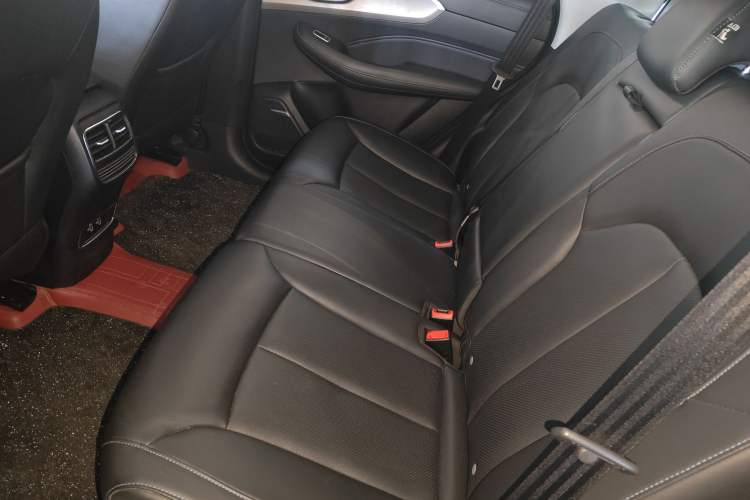 Used Roewe RX5 2020 PLUS 300TGI Automatic Ali National Style Luxury Edition Left Rear Seat