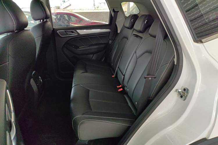 Used Roewe RX5 2020 20T Automatic 4G Connected Million Edition Left Rear Seat