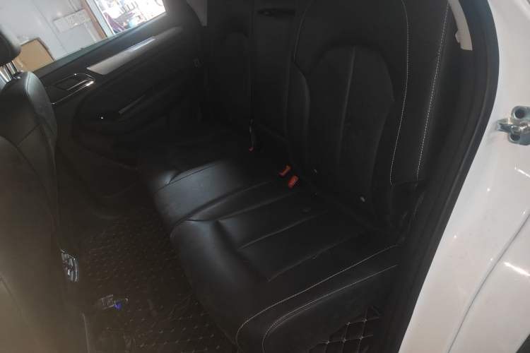Used Roewe RX5 2020 20T Automatic 4G Connected Million Edition Left Rear Seat