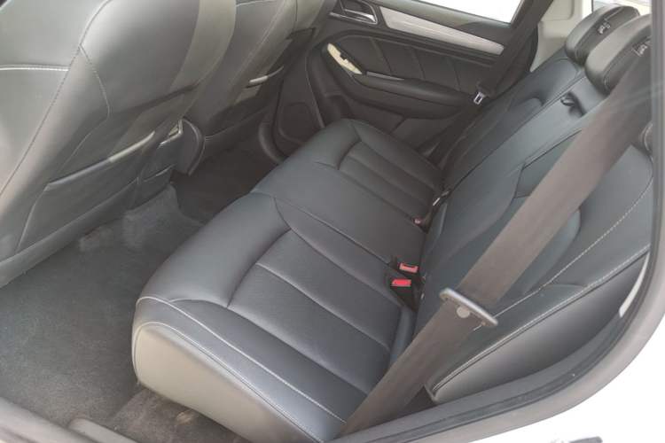 Used Roewe RX5 2020 20T Automatic 4G Connect Superior Flagship Edition Left Rear Seat