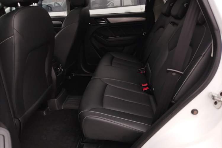 Used Roewe RX5 2020 20T Automatic 4G Connected Million Edition Left Rear Seat