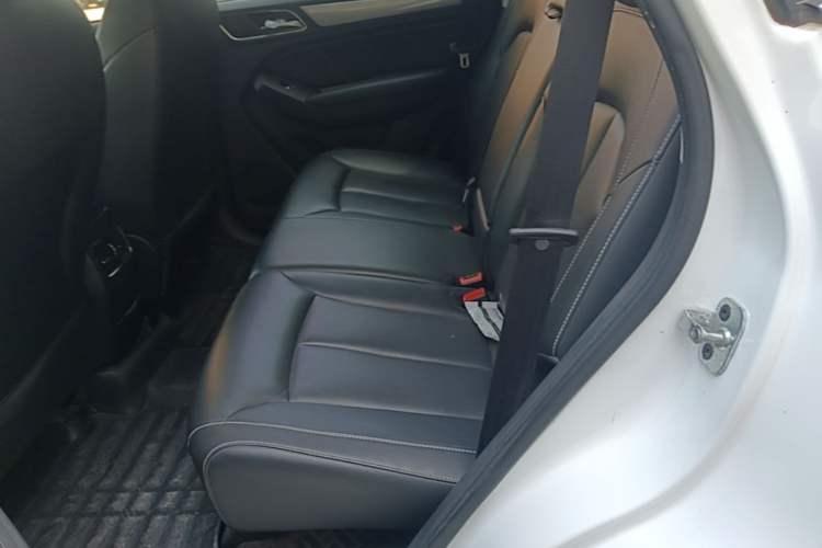 Used Roewe RX5 2020 20T Automatic 4G Connected Million Edition Left Rear Seat