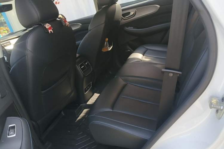 Used Roewe RX5 2020 PLUS 300TGI Automatic Ali National Style Luxury Edition Left Rear Seat