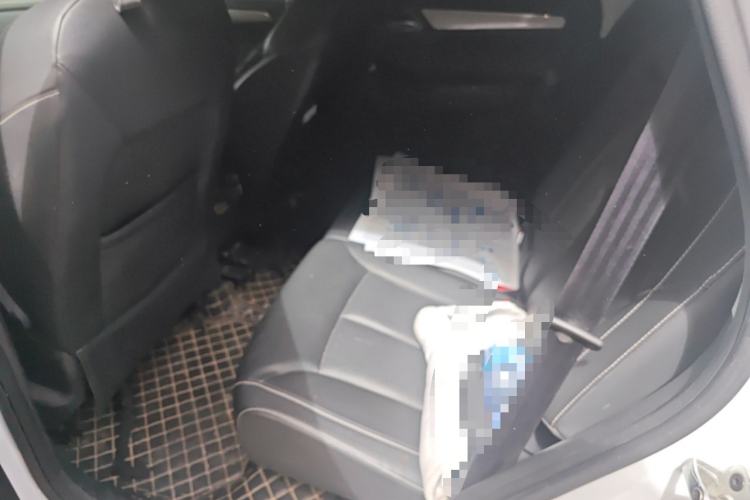 Used Roewe RX5 2020 20T Automatic 4G Connect Superior Flagship Edition Left Rear Seat