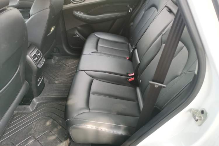 Used Roewe RX5 2020 PLUS 300TGI Automatic Ali National Style Luxury Edition Left Rear Seat