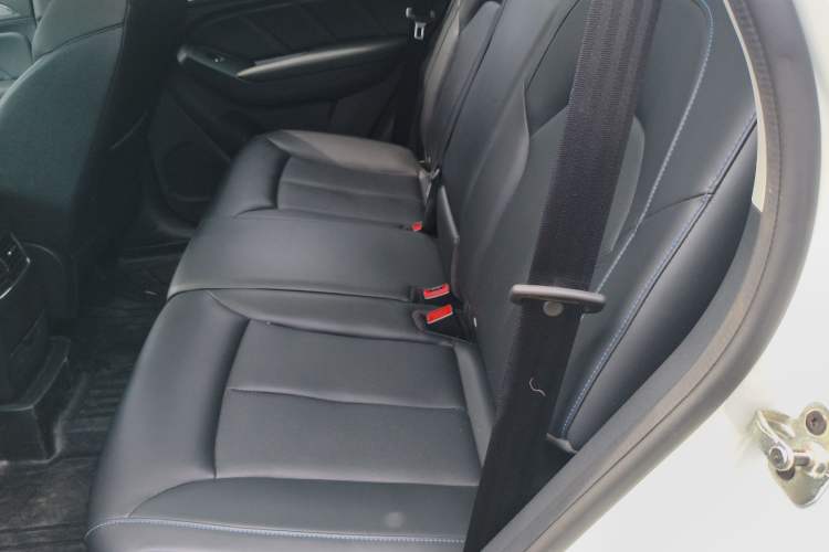 Used Roewe RX5 2020 20T Automatic 4G Connected Million Edition Left Rear Seat