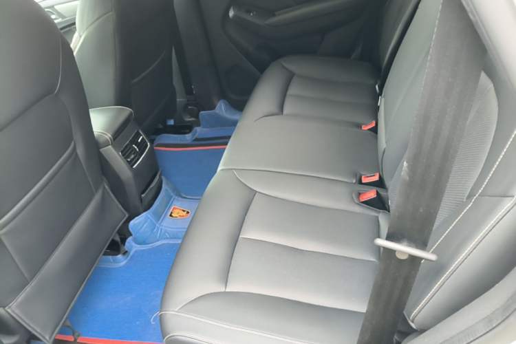 Used Roewe RX5 2020 20T Automatic 4G Connect Superior Flagship Edition Left Rear Seat